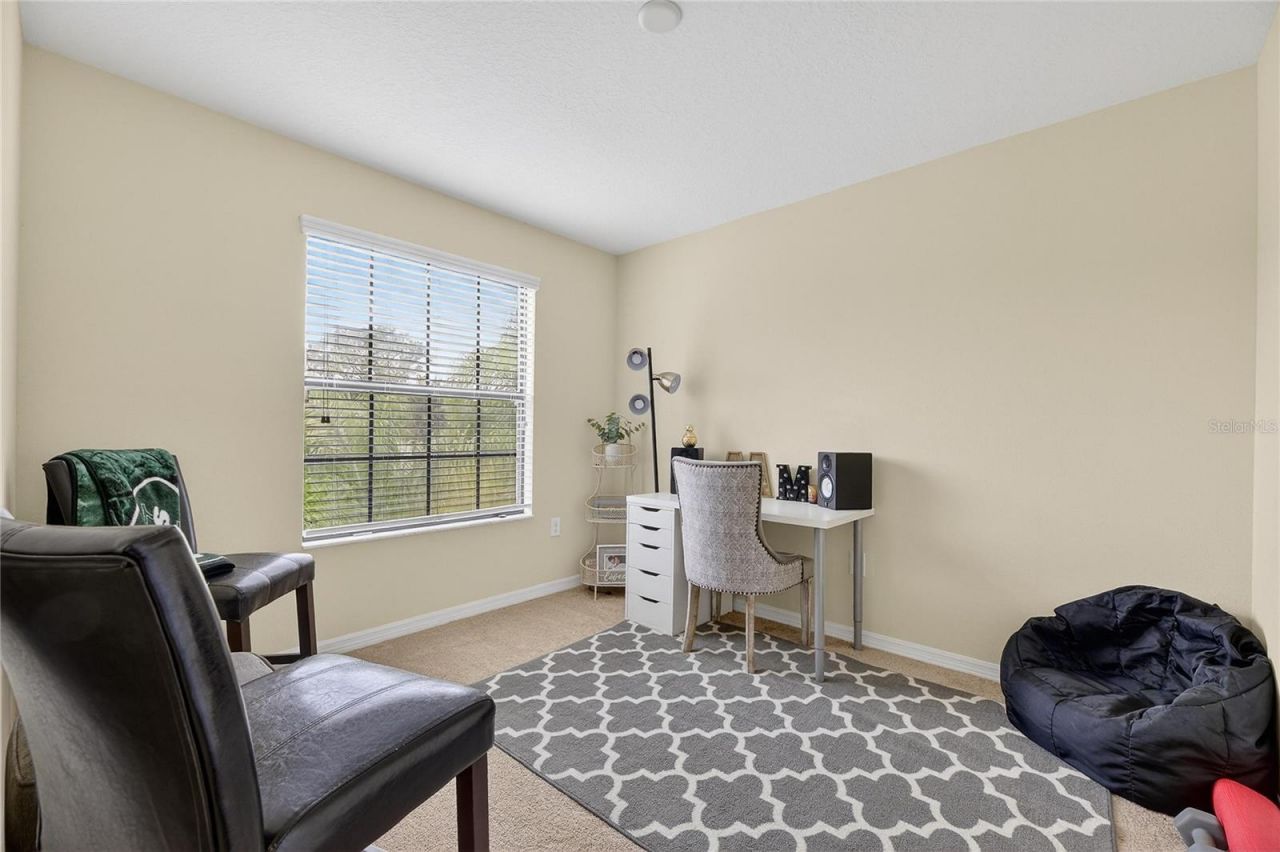 20041 Satin Leaf Avenue, Tampa, FL 33647 Photo