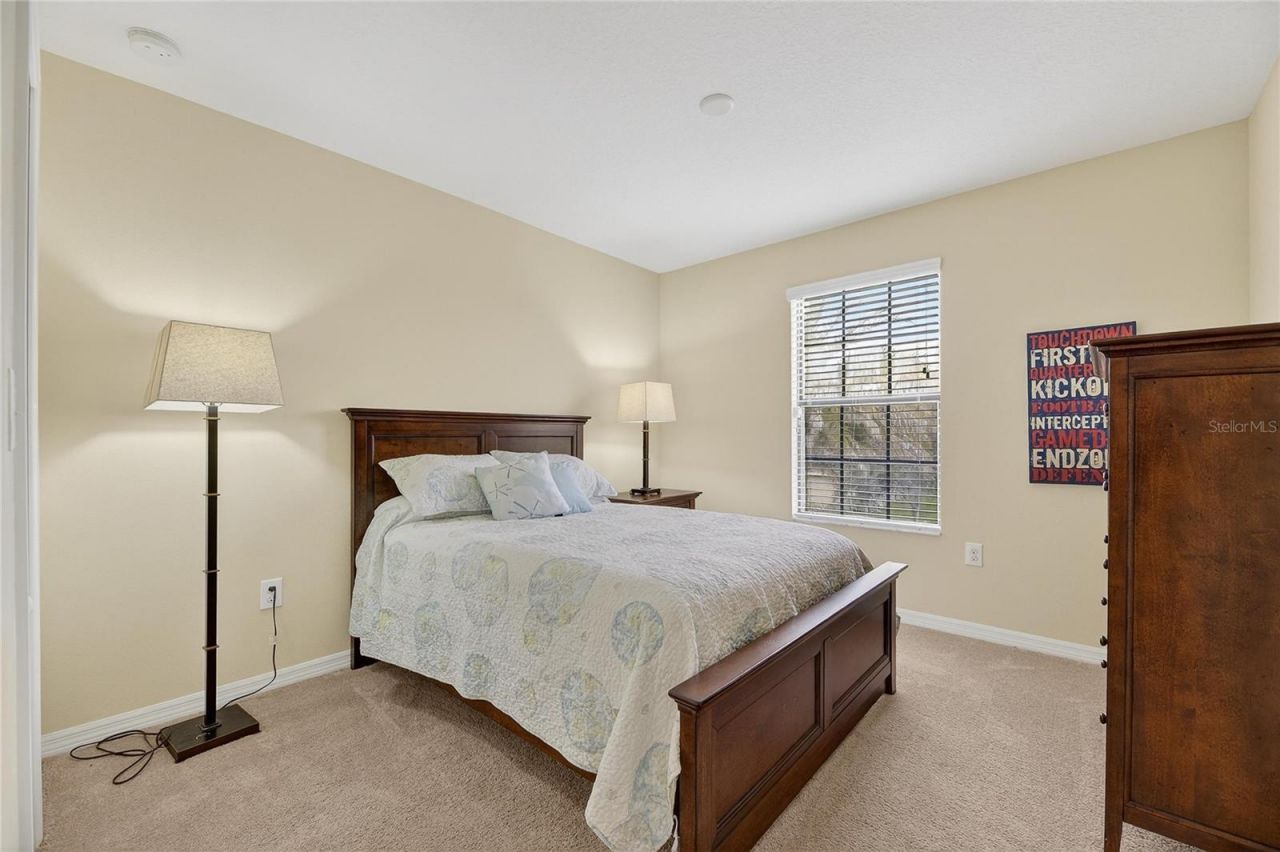 20041 Satin Leaf Avenue, Tampa, FL 33647 Photo