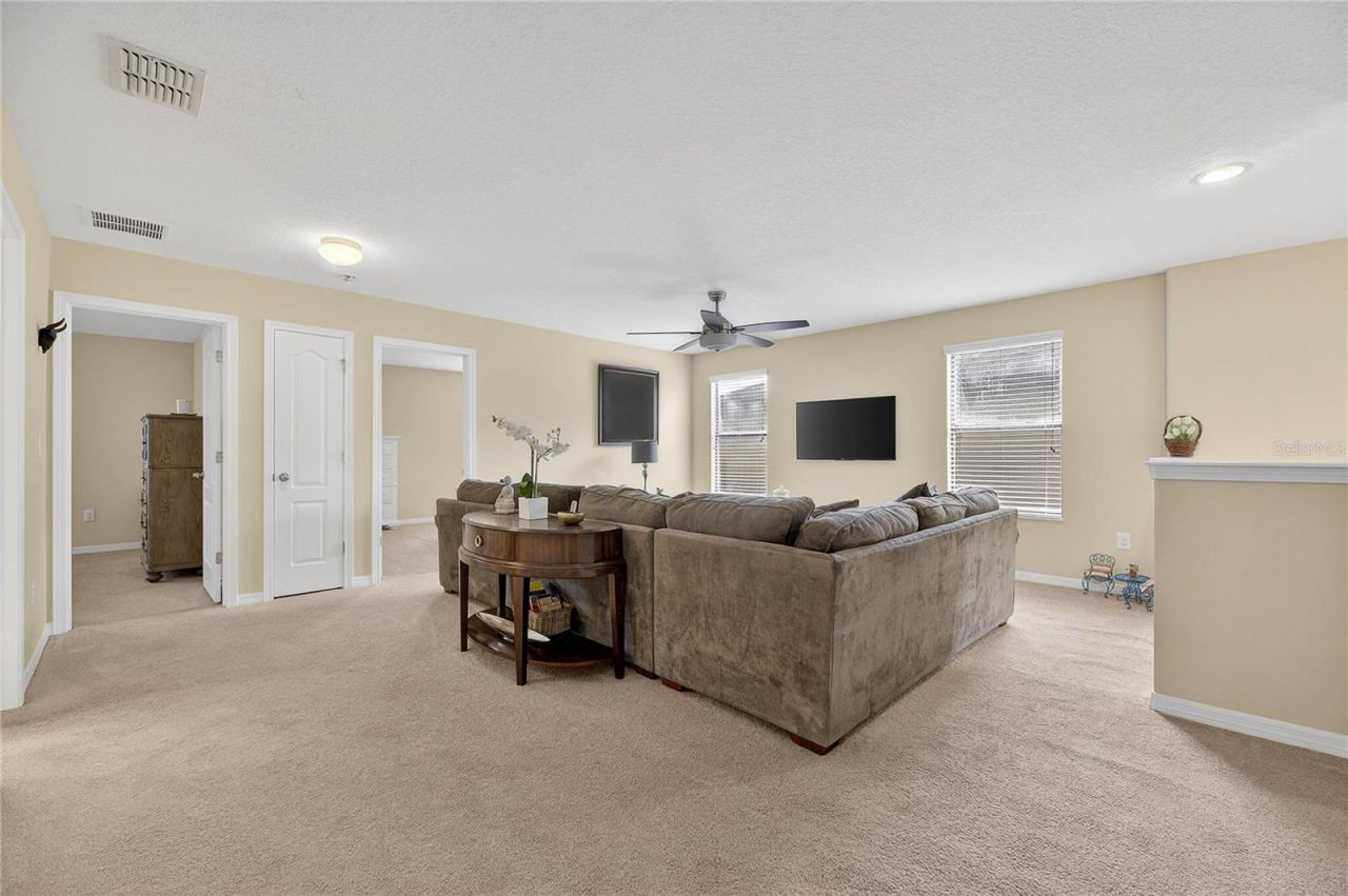 20041 Satin Leaf Avenue, Tampa, FL 33647 Photo