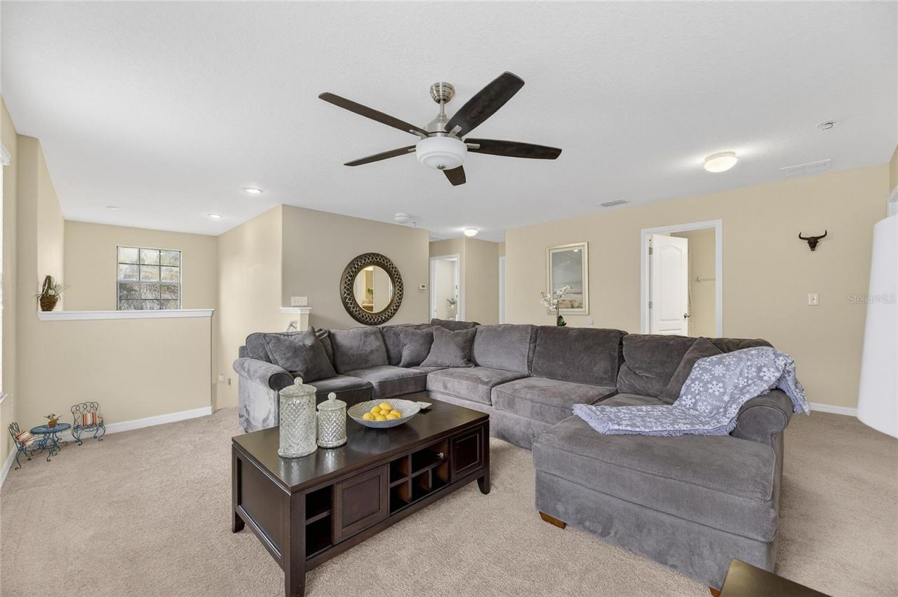 20041 Satin Leaf Avenue, Tampa, FL 33647 Photo