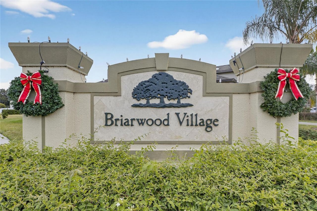 20041 Satin Leaf Avenue, Tampa, FL 33647 Photo