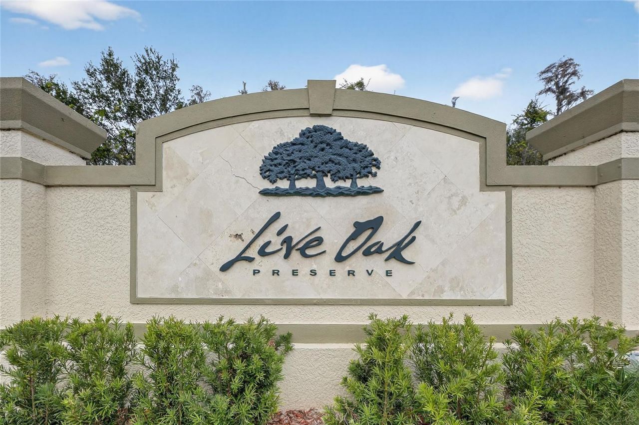 20041 Satin Leaf Avenue, Tampa, FL 33647 Photo