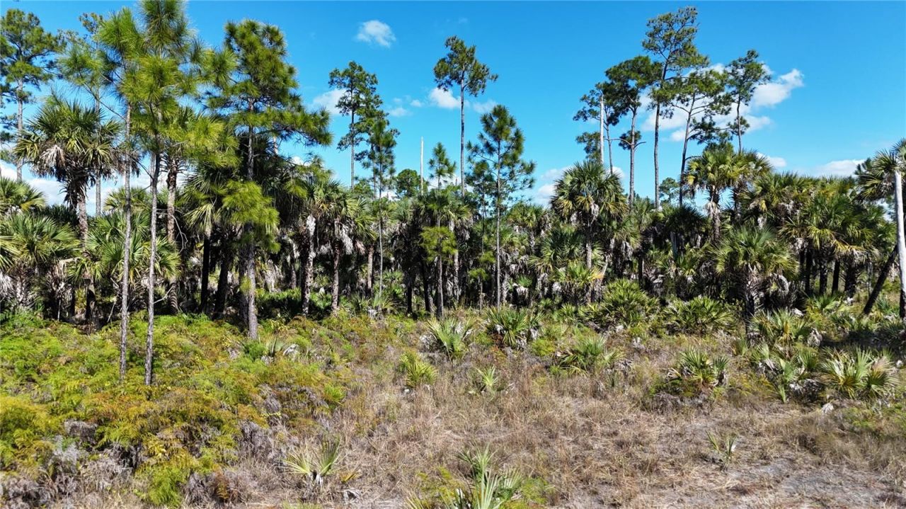 Na, Naples, FL 34117 Photo
