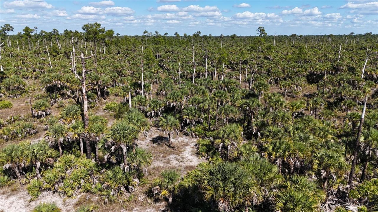 Na, Naples, FL 34117 Photo