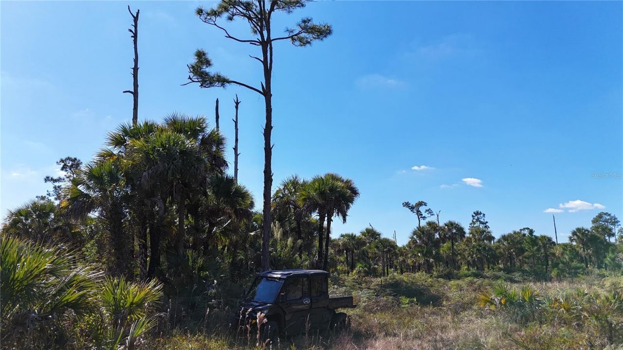 Na, Naples, FL 34117 Photo