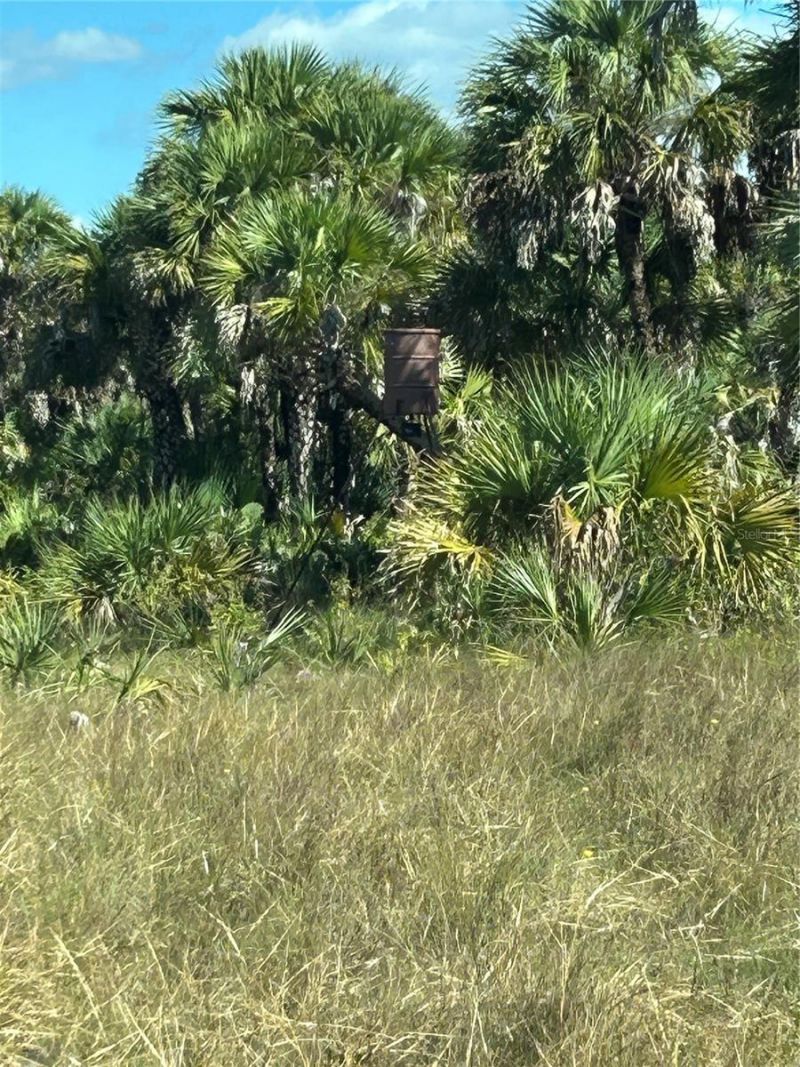 Na, Naples, FL 34117 Photo