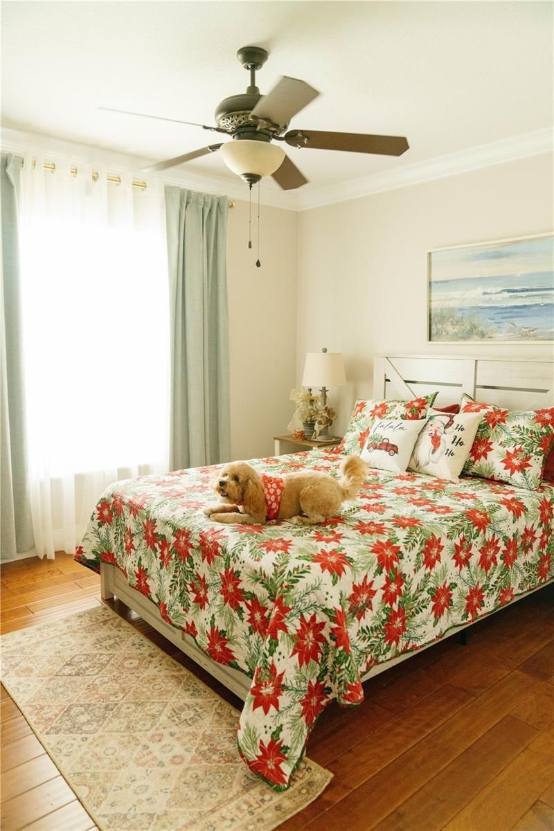 537 Woodlawn Cemetery Road, Gotha, FL 34734 Photo