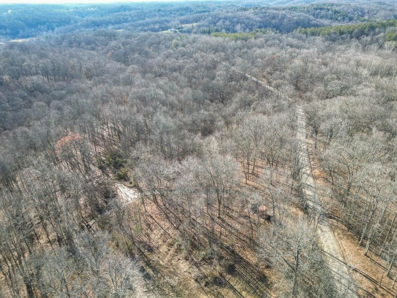 33056 Weaver Church Road, Albany, OH 45710 Photo 13