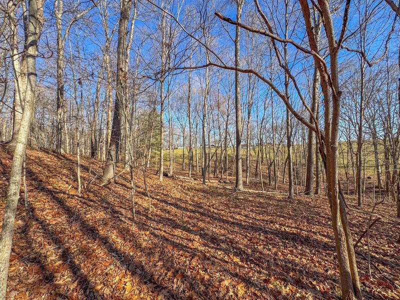 33056 Weaver Church Road, Albany, OH 45710 Photo 15