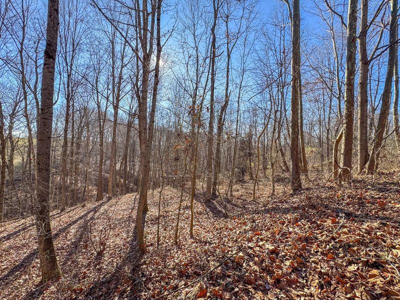 33056 Weaver Church Road, Albany, OH 45710 Photo 16