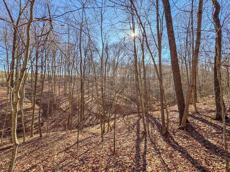 33056 Weaver Church Road, Albany, OH 45710 Photo 17