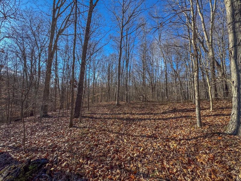 33056 Weaver Church Road, Albany, OH 45710 Photo 18