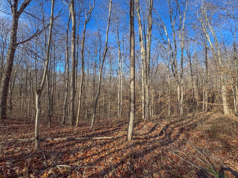 33056 Weaver Church Road, Albany, OH 45710 Photo 19