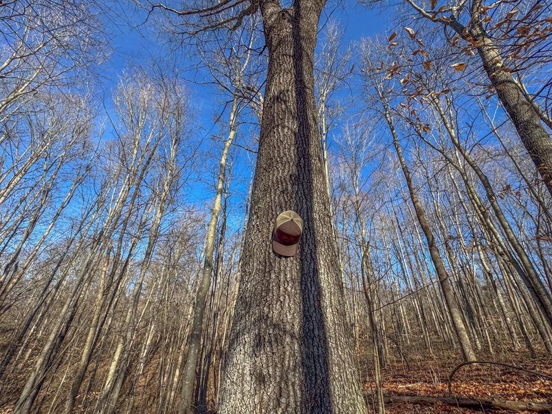 33056 Weaver Church Road, Albany, OH 45710 Photo 20