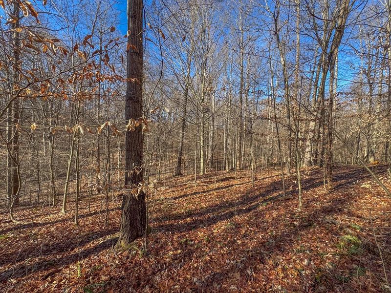 33056 Weaver Church Road, Albany, OH 45710 Photo 21