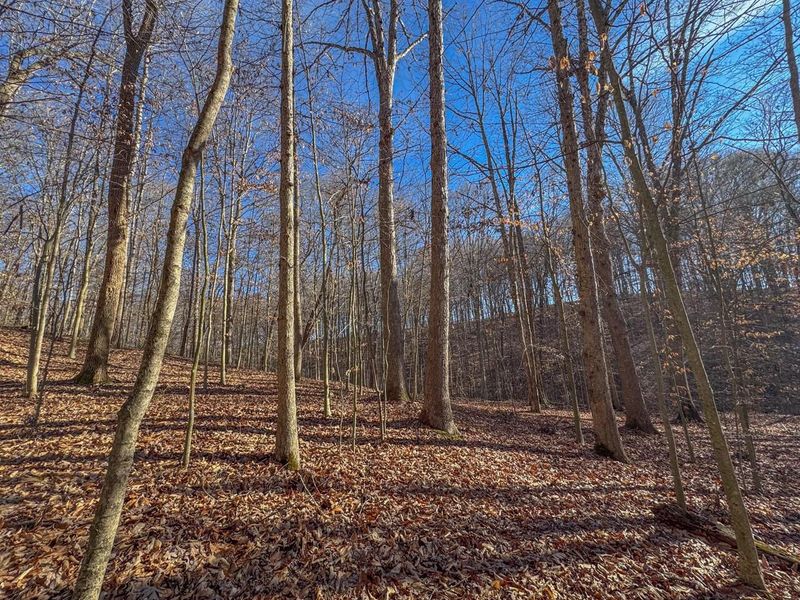 33056 Weaver Church Road, Albany, OH 45710 Photo 23