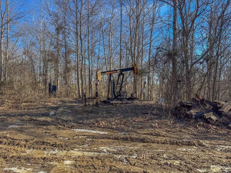 33056 Weaver Church Road, Albany, OH 45710 Photo 24