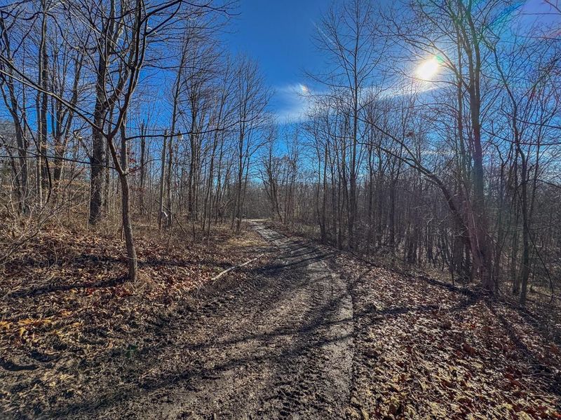 33056 Weaver Church Road, Albany, OH 45710 Photo 26