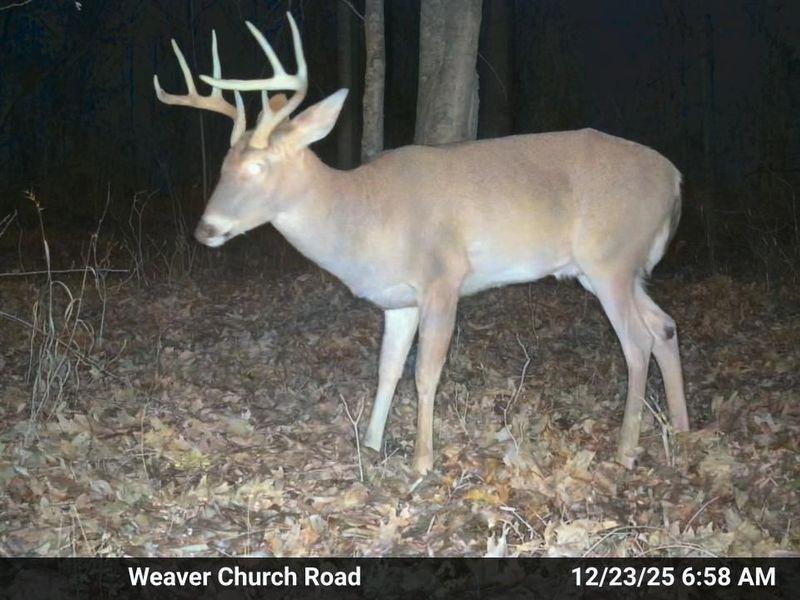 33056 Weaver Church Road, Albany, OH 45710 Photo 3