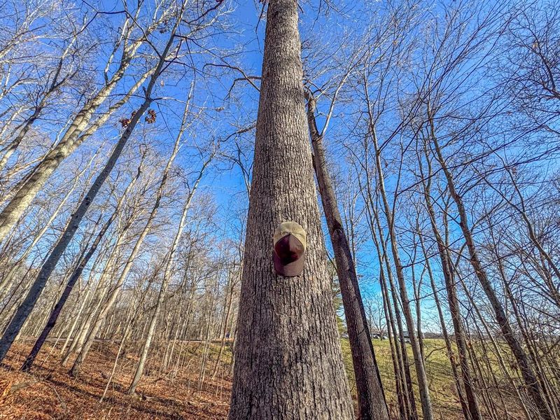 33056 Weaver Church Road, Albany, OH 45710 Photo 9