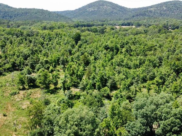 246 Burgess, Bonnerdale, AR 71933