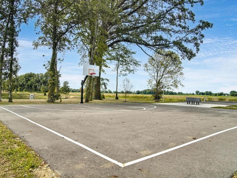 3 Grismill Drive , Ashville, OH 43103 Photo 38