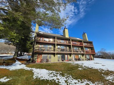 16 Grizzly Way, Davis, WV 26260