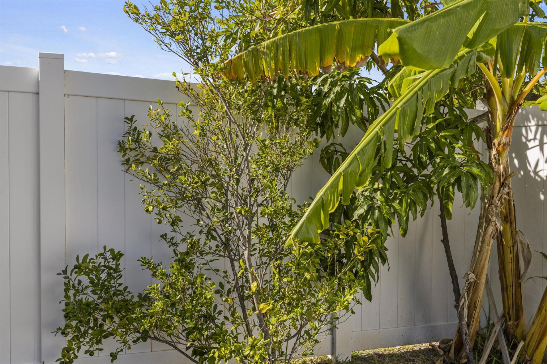 2502 SE Lakewood Street, Port Saint Lucie, FL 34952 Photo