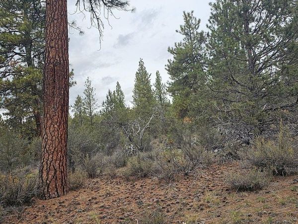 Grizzly Lane, Unit 3711-036C0, Bonanza, OR 97623