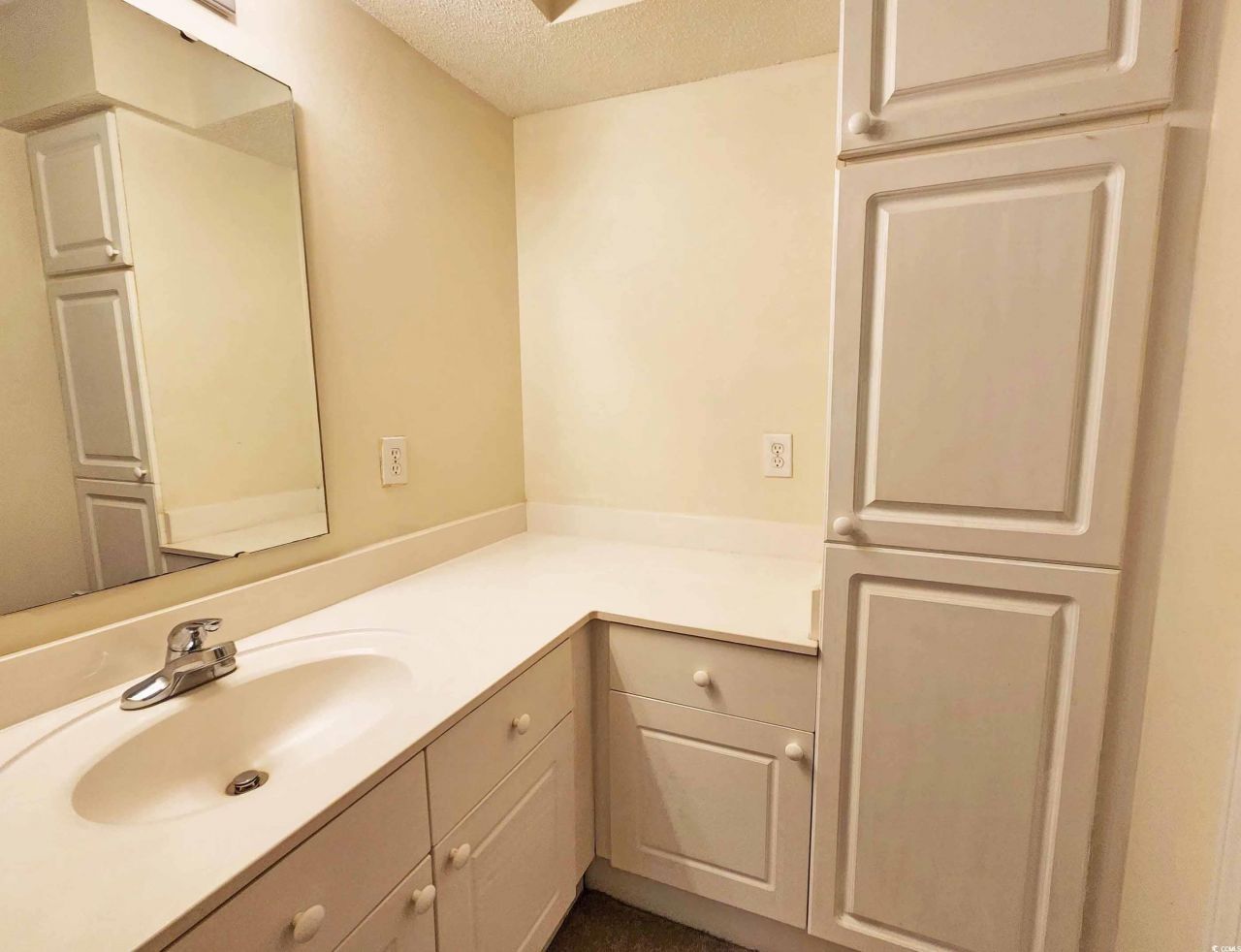 195-722 Egret Run Ln. Photo 17