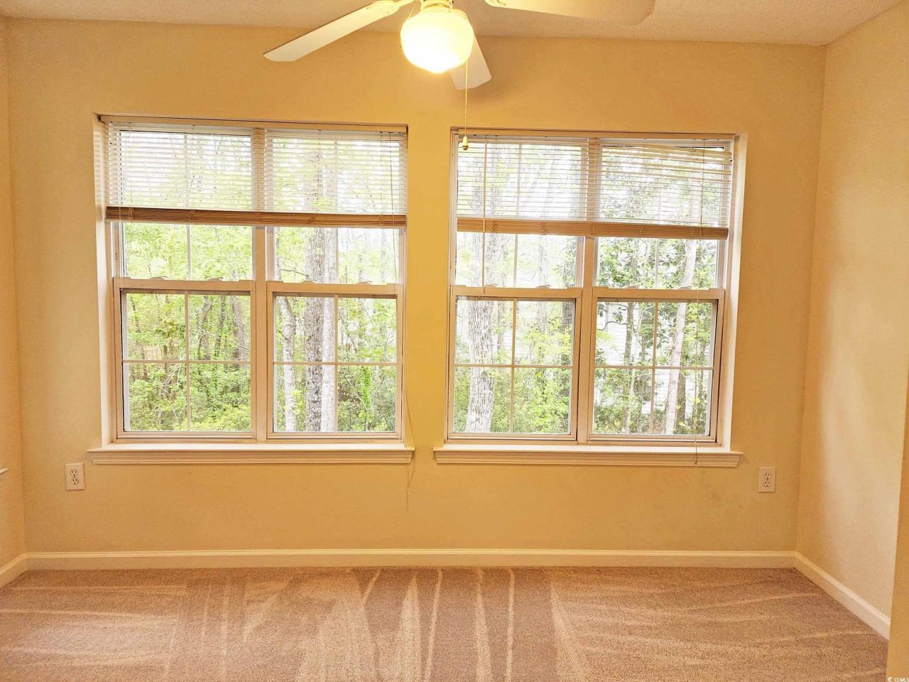 195-722 Egret Run Ln. Photo 6