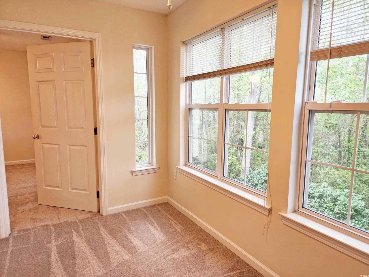 195-722 Egret Run Ln. Photo 7