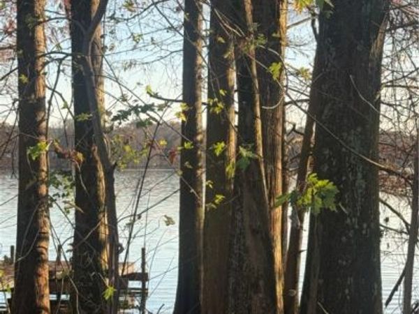 North Shore , Atkins, AR 72823