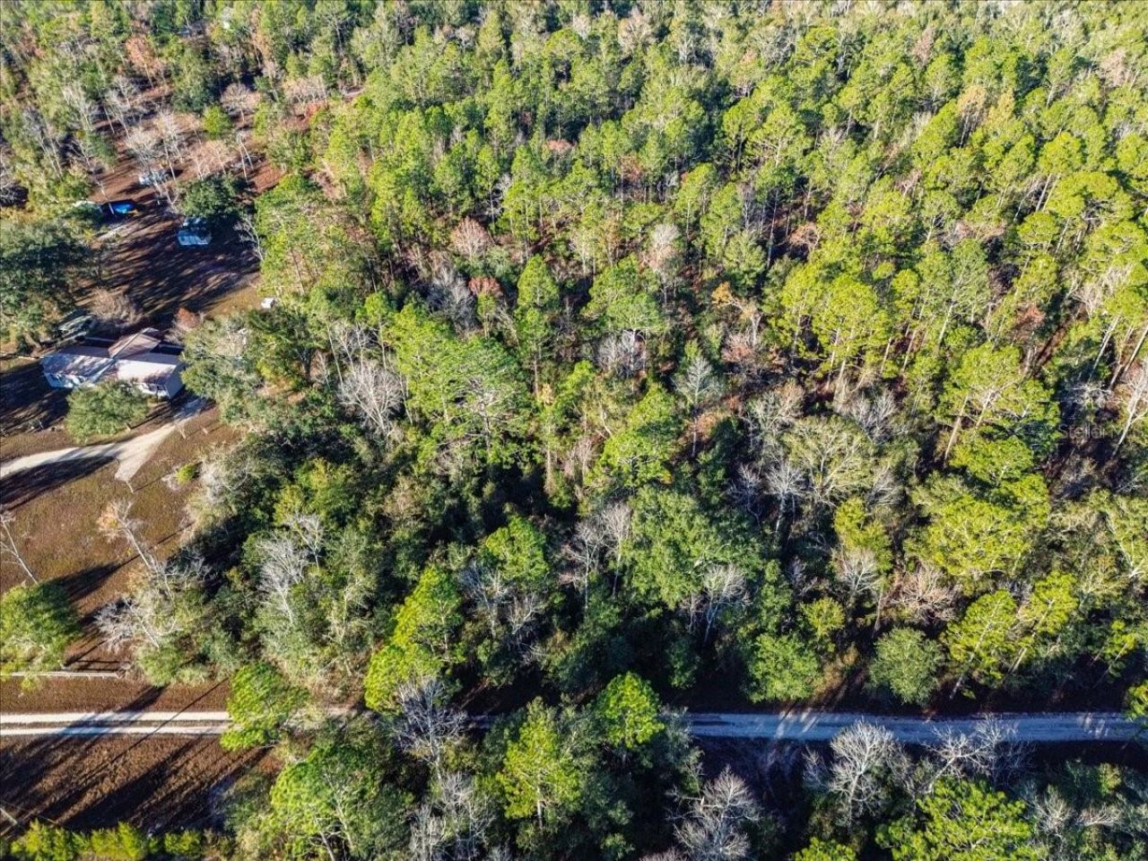 103rd Drive, O Brien, FL 32071 Photo