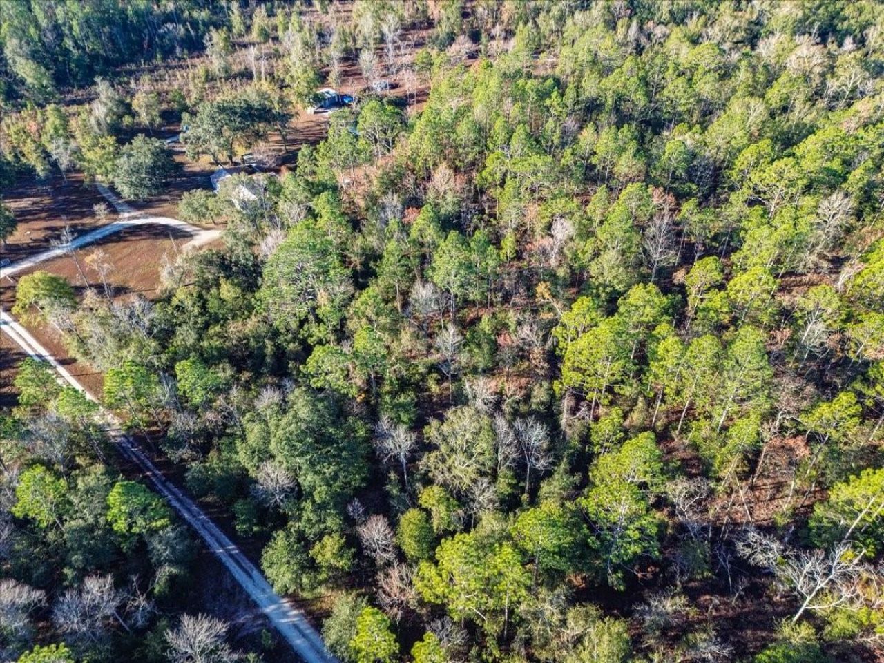 103rd Drive, O Brien, FL 32071 Photo