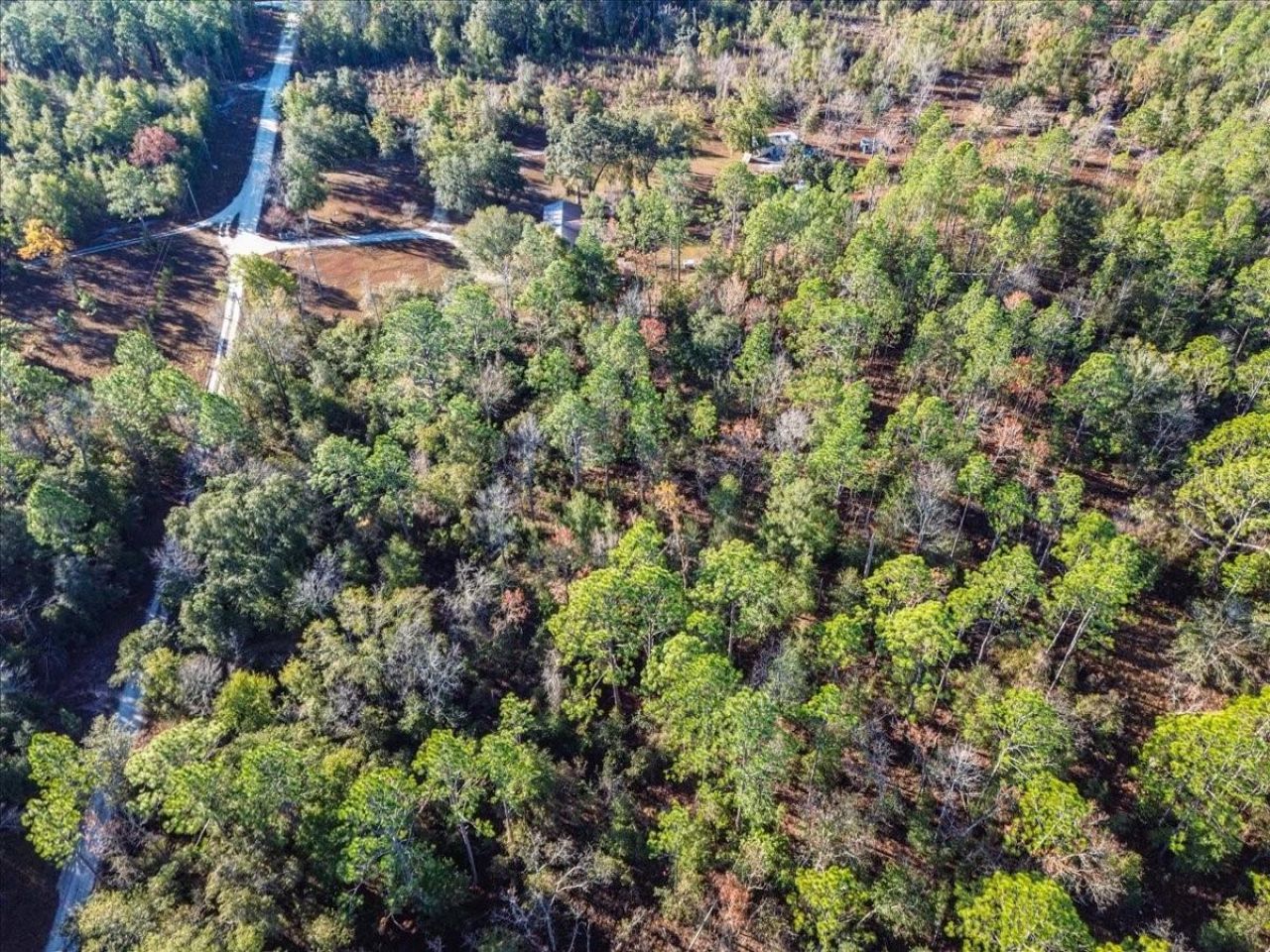 103rd Drive, O Brien, FL 32071 Photo