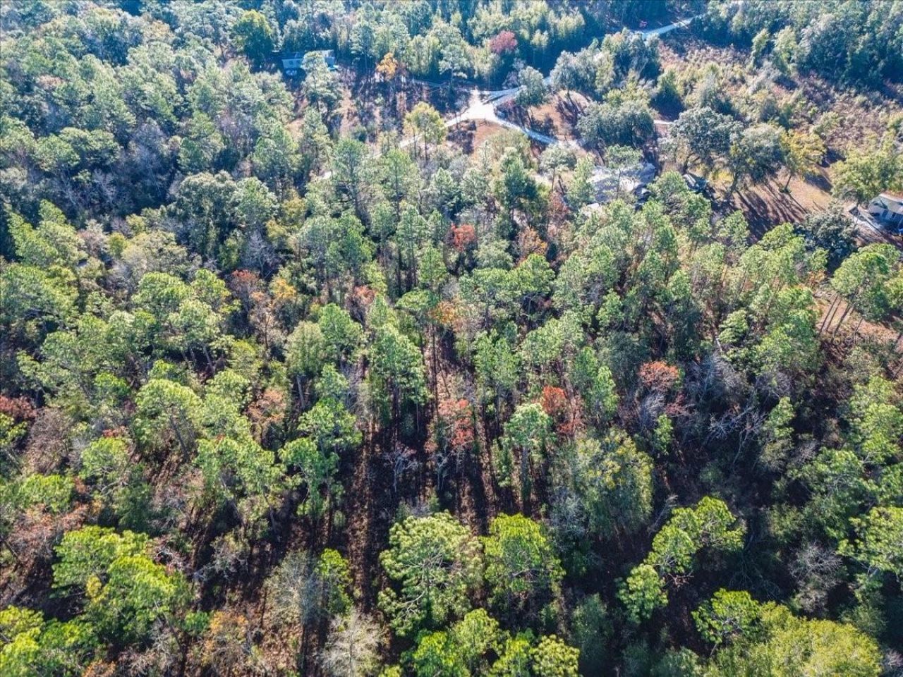 103rd Drive, O Brien, FL 32071 Photo