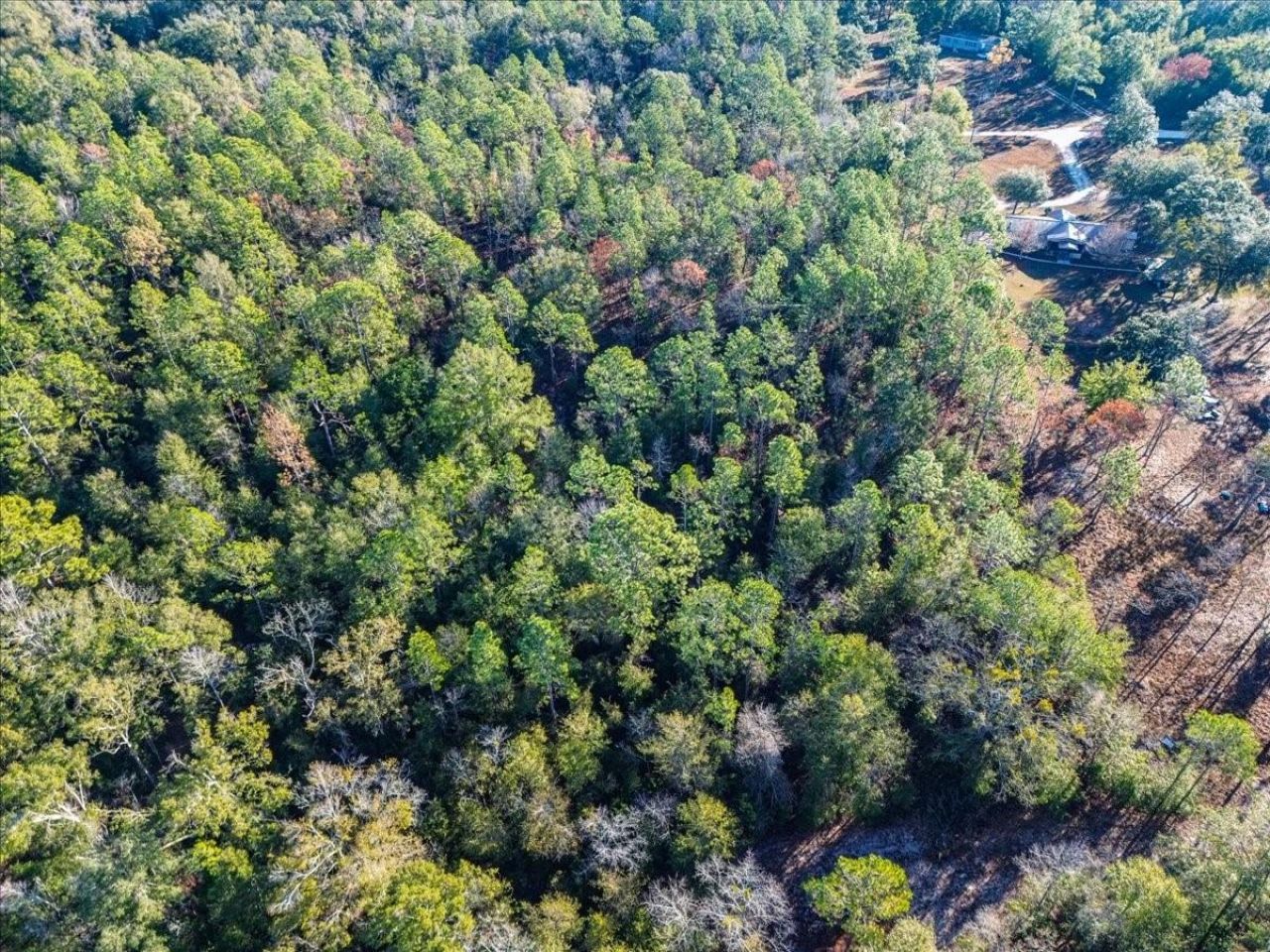 103rd Drive, O Brien, FL 32071 Photo