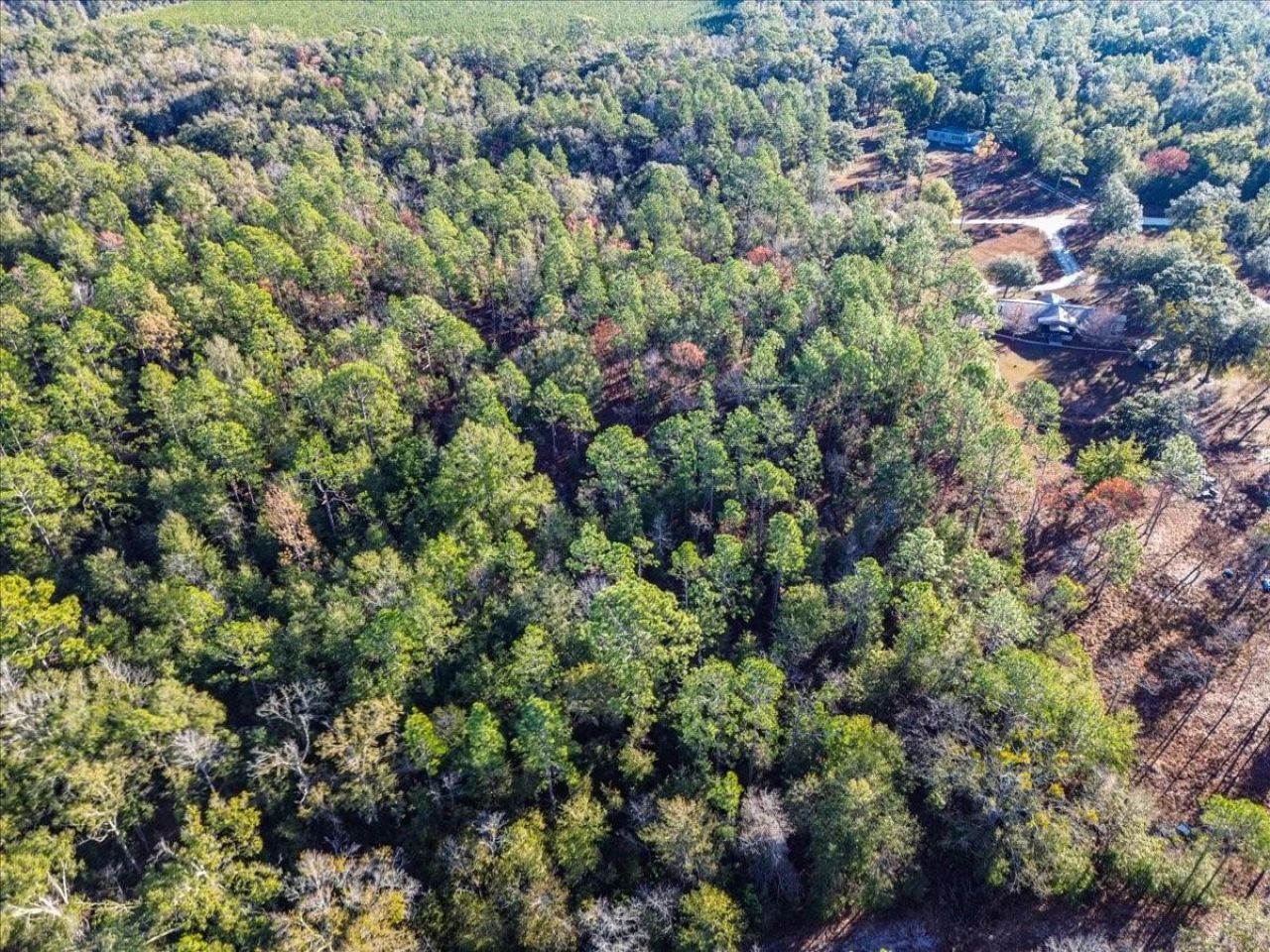 103rd Drive, O Brien, FL 32071 Photo