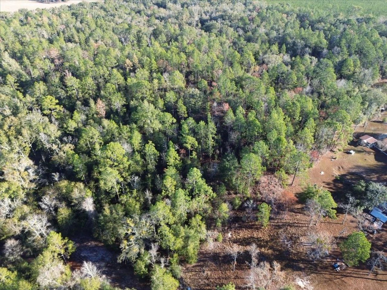 103rd Drive, O Brien, FL 32071 Photo