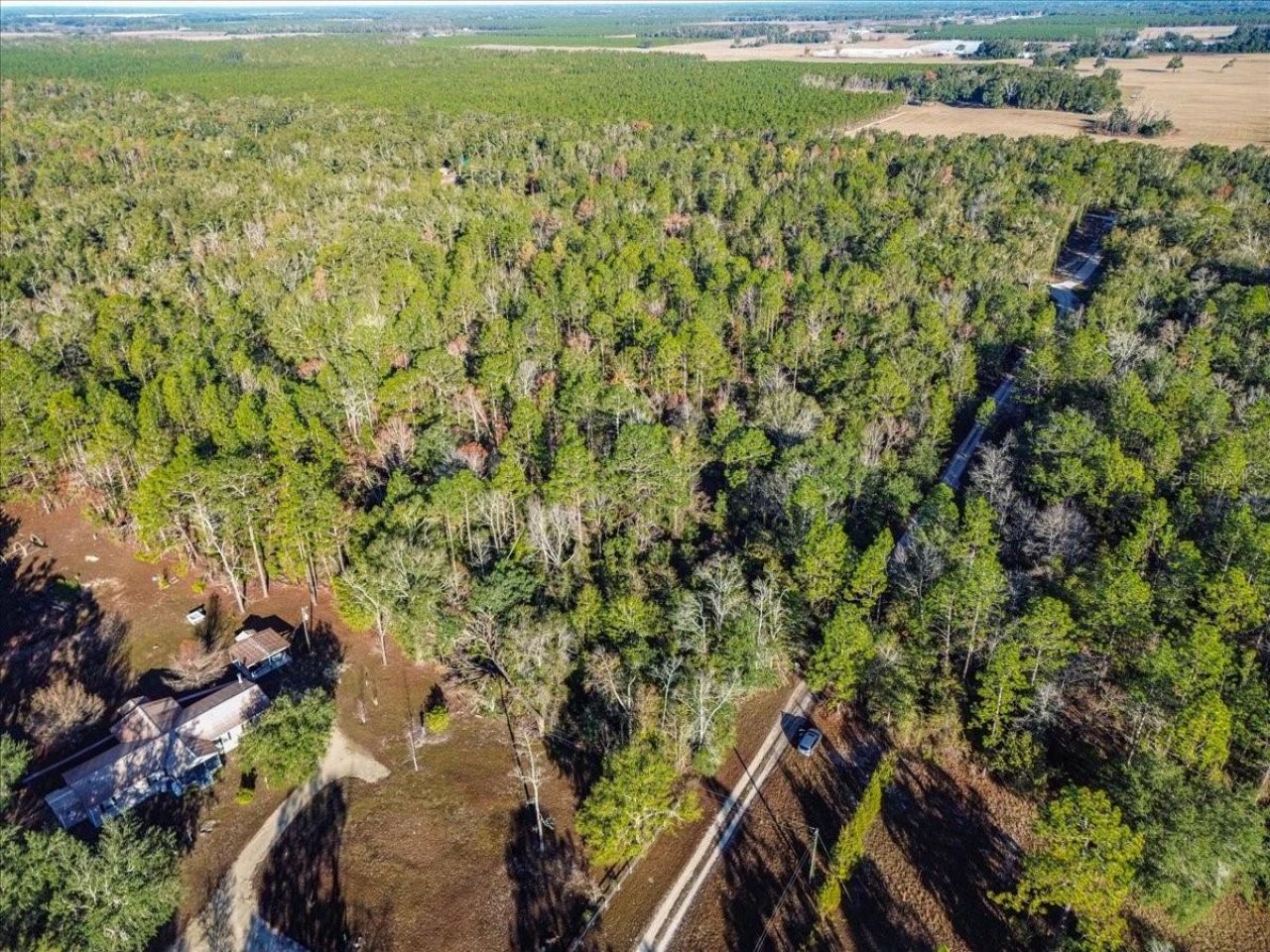 103rd Drive, O Brien, FL 32071 Photo