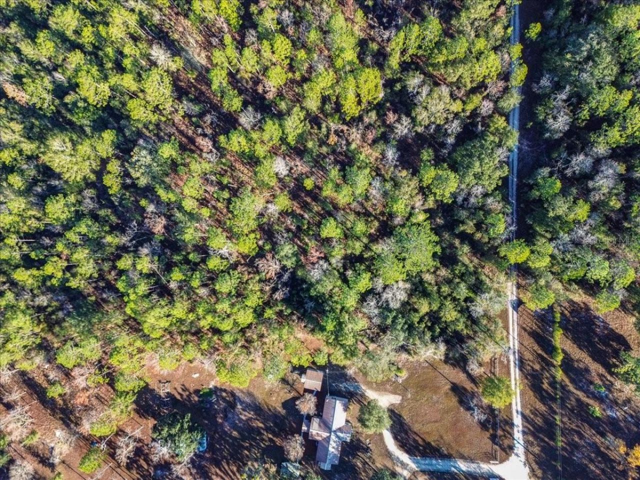 103rd Drive, O Brien, FL 32071 Photo