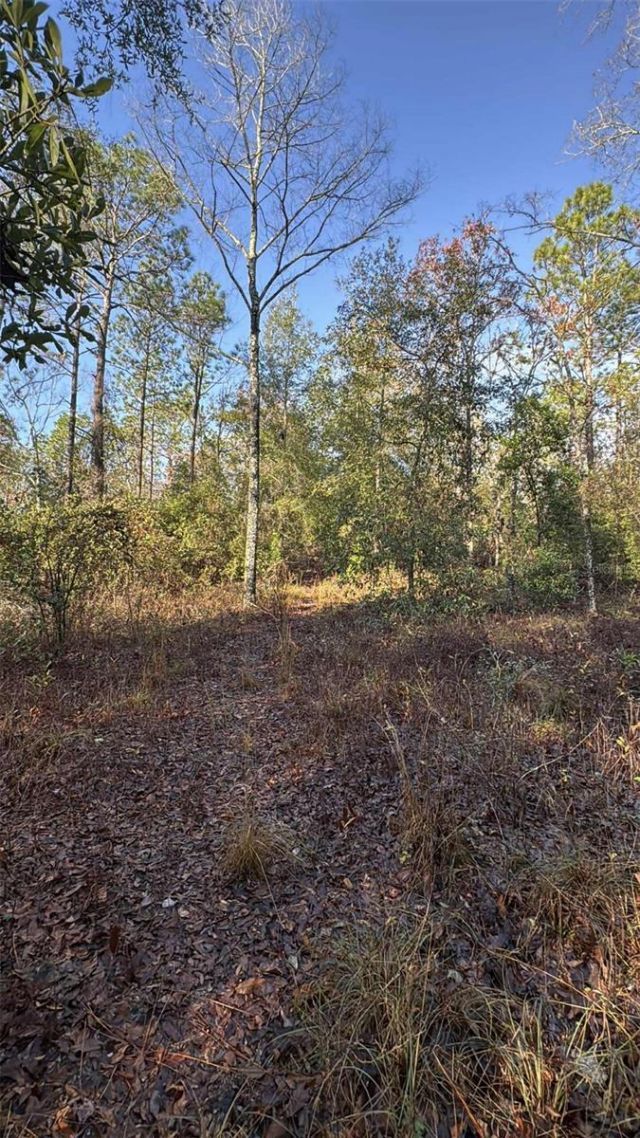 103rd Drive, O Brien, FL 32071 Photo