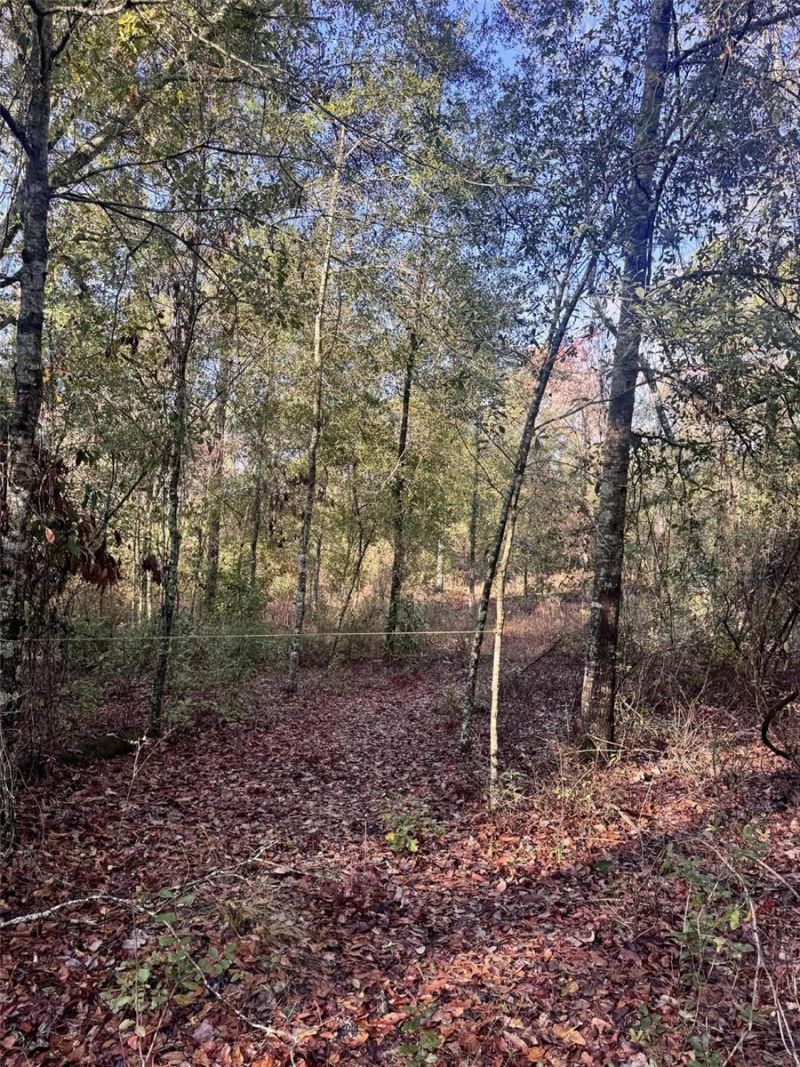 103rd Drive, O Brien, FL 32071 Photo