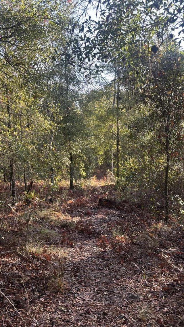 103rd Drive, O Brien, FL 32071 Photo