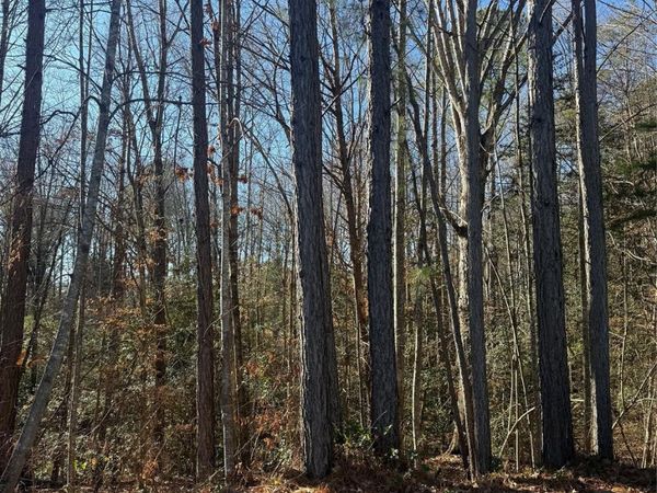 6029 Chaucer Lane, Granite Falls, NC 28630