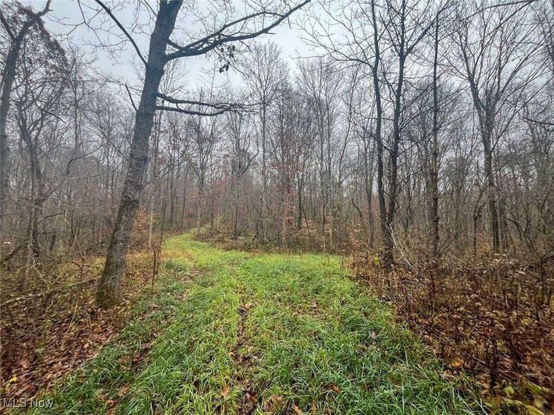 0 Township Rd 331, Corning, OH 43730 Photo 10