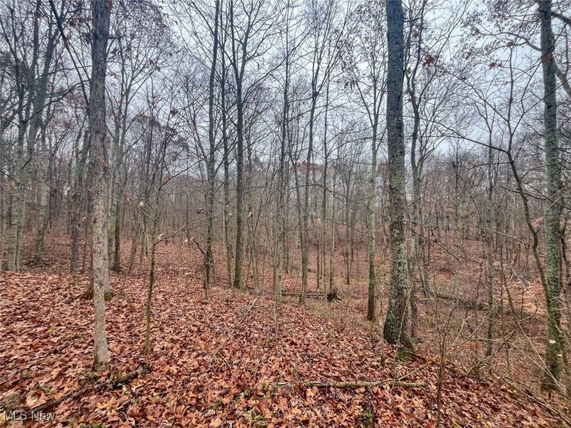0 Township Rd 331, Corning, OH 43730 Photo 11