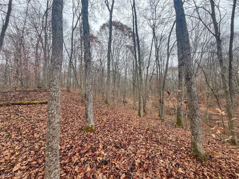 0 Township Rd 331, Corning, OH 43730 Photo 12