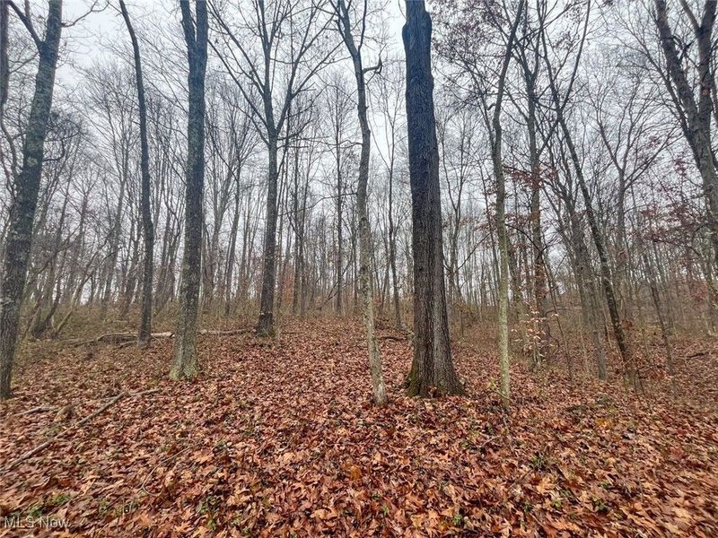 0 Township Rd 331, Corning, OH 43730 Photo 13